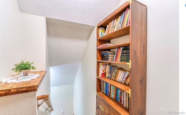 1443 Sangre Dr, Westcliffe, CO 81252 - detailed view of a textured ceiling and a textured wall