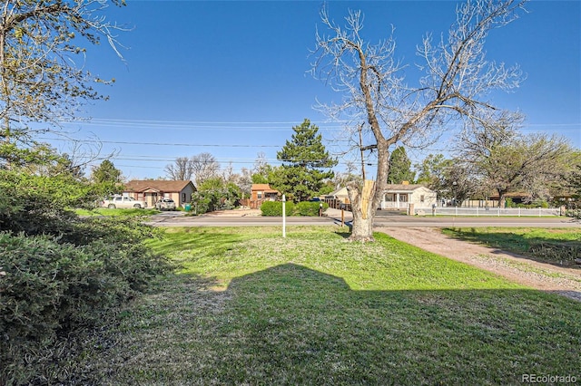 view of yard