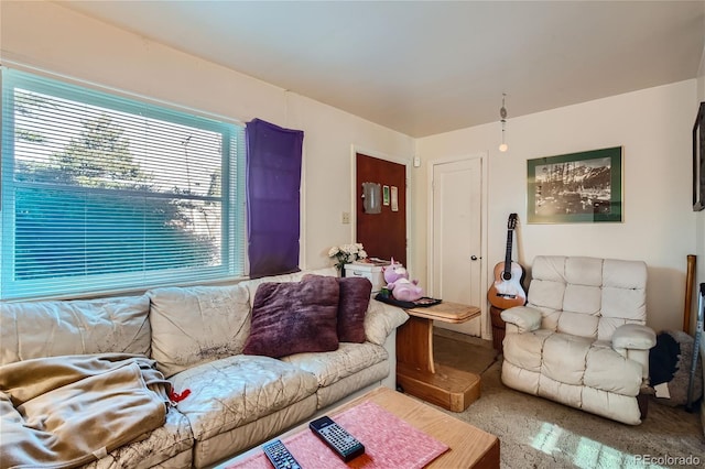 living room with carpet floors
