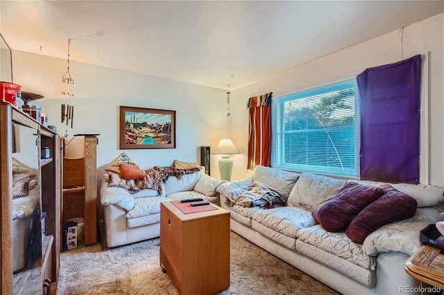 living room with light carpet