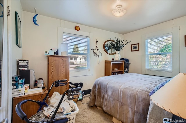 bedroom with multiple windows