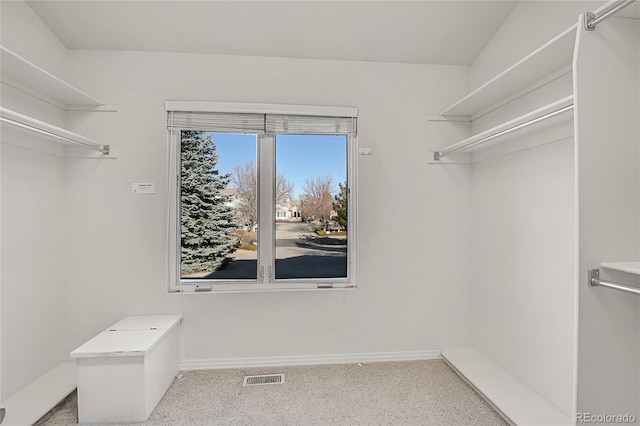 spacious closet with visible vents