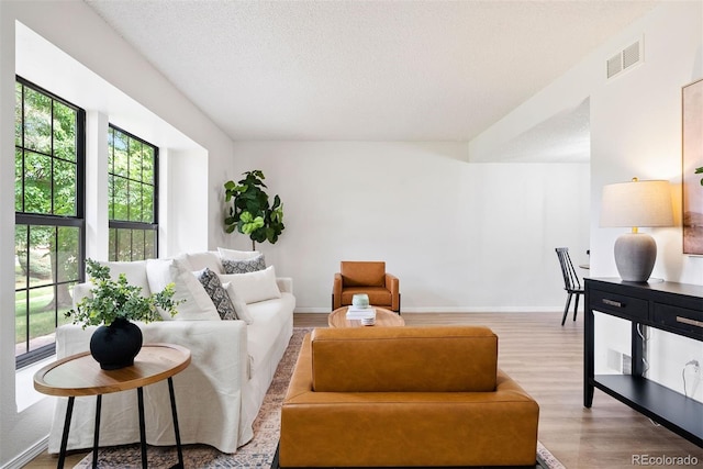 living area with baseboards, visible vents, wood finished floors, and a textured ceiling