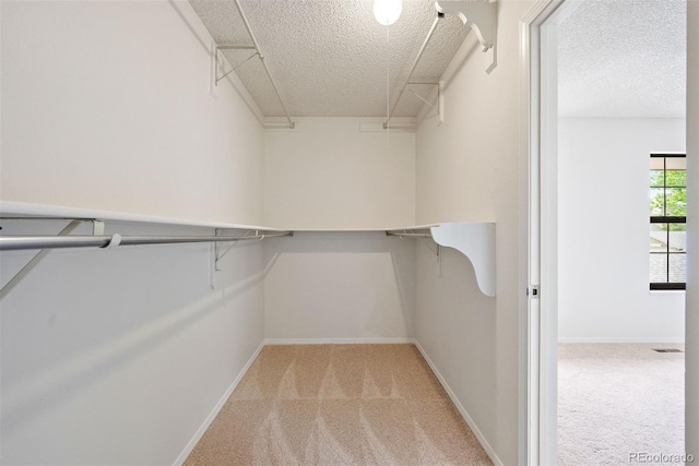 spacious closet with light colored carpet
