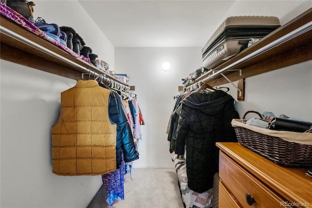 spacious closet featuring light carpet