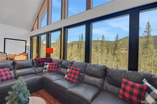 496 Quartzville Rd, Alma, CO 80420 - photo 1