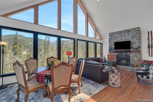 496 Quartzville Rd, Alma, CO 80420 - photo 6