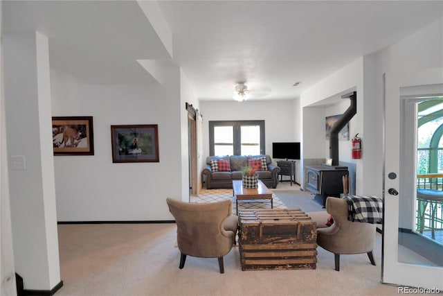496 Quartzville Rd, Alma, CO 80420 - photo 13