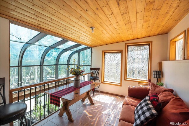 496 Quartzville Rd, Alma, CO 80420 - photo 20