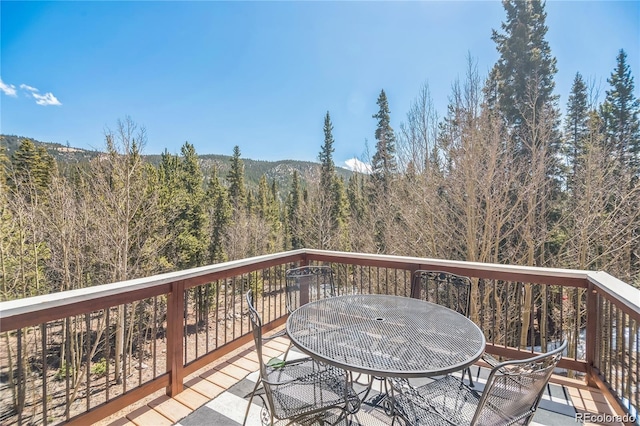 496 Quartzville Rd, Alma, CO 80420 - photo 24