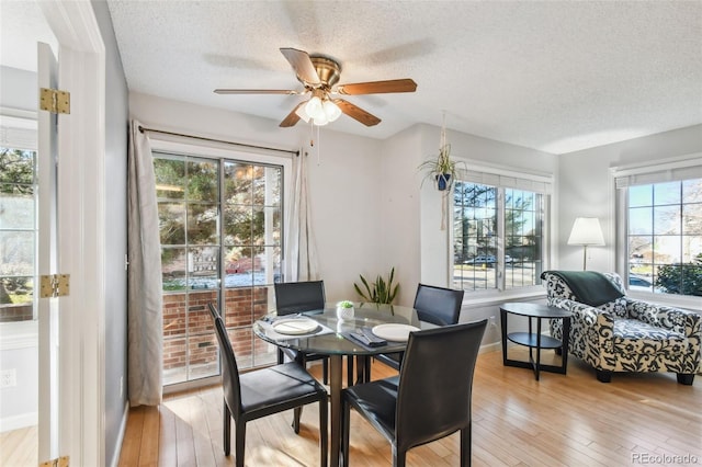 dining area with plenty of natural light, ceiling fan, and light wood-type flooring