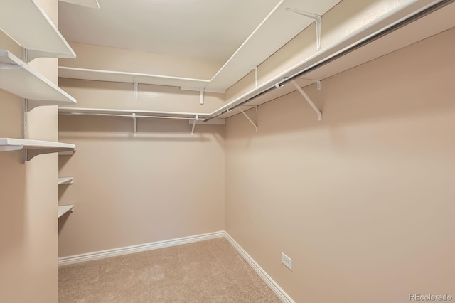 350 S Clinton St Unit 9B, Denver, CO 80247 - spacious closet featuring carpet floors