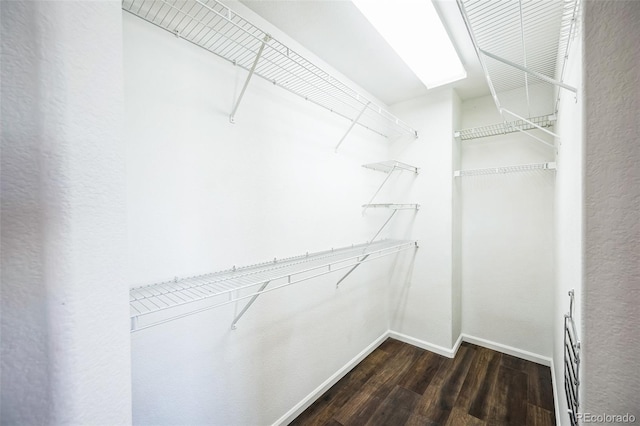 spacious closet with wood finished floors