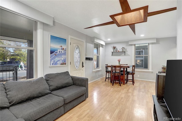 living room featuring light hardwood / wood-style flooring