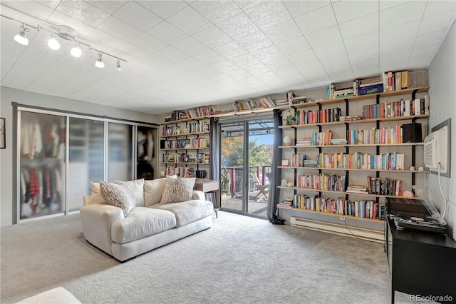 living area featuring carpet floors and rail lighting