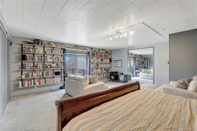 bedroom with a closet and carpet