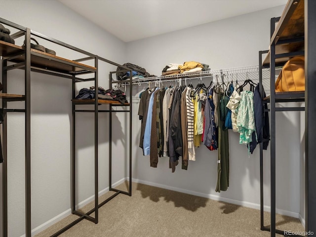 800 Boulder Peak Ave, Erie, CO 80516 - spacious closet with carpet flooring