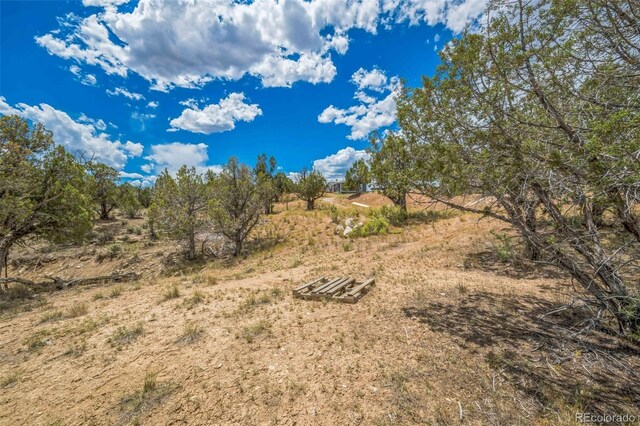 148 Venado Rd, Silt, CO 81652 - photo 28