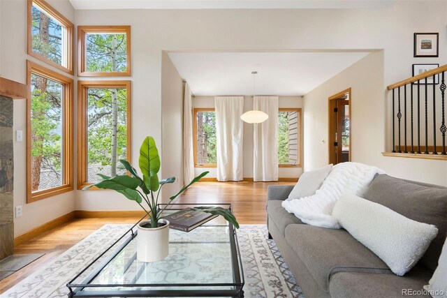 29962 Troutdale Ridge Rd, Evergreen, CO 80439 - living room with wood finished floors and baseboards
