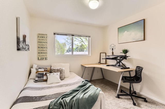 1601 Great Western Dr Unit D3, Longmont, CO 80501 - photo 11