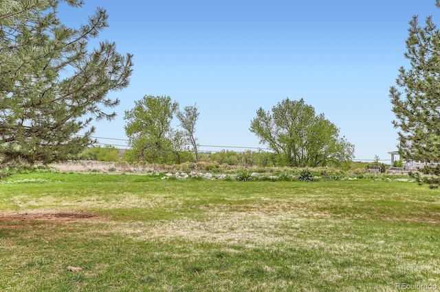 1601 Great Western Dr Unit D3, Longmont, CO 80501 - photo 23
