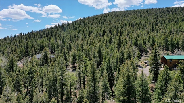 1008 S Pine Dr, Bailey, CO 80421 - photo 2
