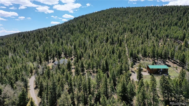 1008 S Pine Dr, Bailey, CO 80421 - photo 3
