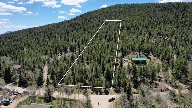 1008 S Pine Dr, Bailey, CO 80421 - photo 1