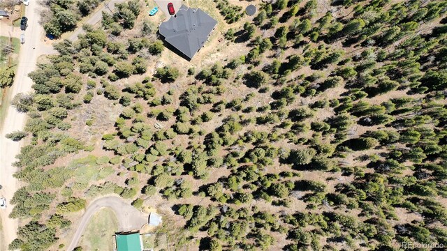 1008 S Pine Dr, Bailey, CO 80421 - photo 4