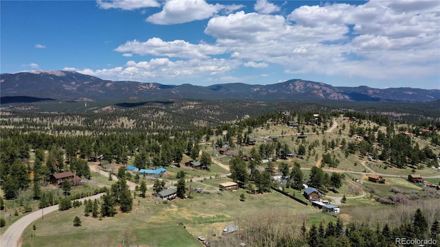1008 S Pine Dr, Bailey, CO 80421 - photo 5