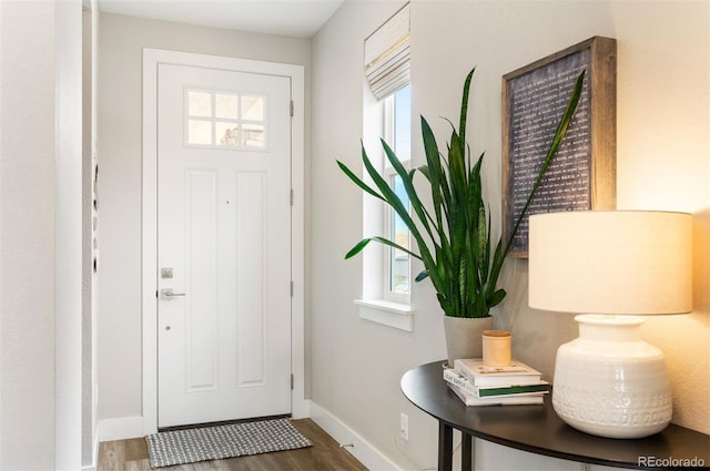 foyer entrance with hardwood / wood-style floors