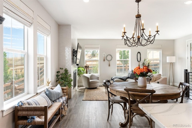 dining room with hardwood / wood-style flooring, a chandelier, and plenty of natural light