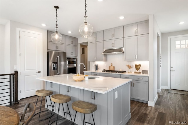 kitchen with sink, appliances with stainless steel finishes, an island with sink, gray cabinetry, and dark hardwood / wood-style flooring