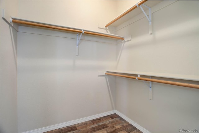 walk in closet featuring dark hardwood / wood-style flooring