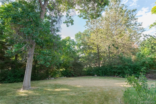 2976 S Magnolia Way, Denver, CO 80224 - view of grassy yard