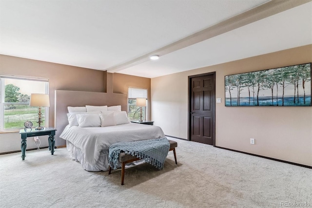 40192 Margaret Dr, Elizabeth, CO 80107 - bedroom featuring baseboards, multiple windows, and carpet