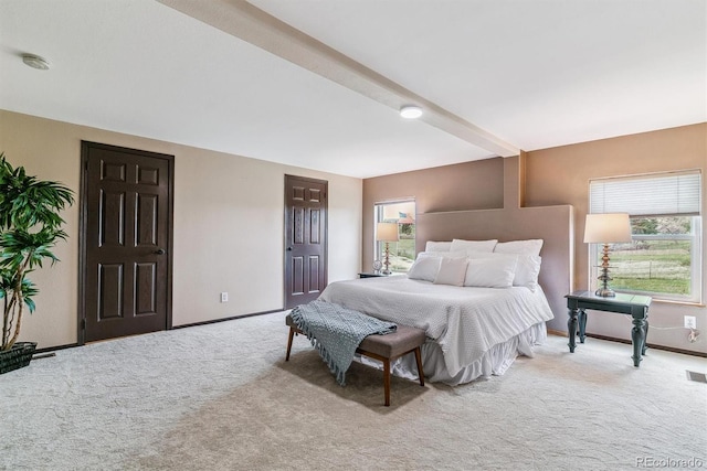 40192 Margaret Dr, Elizabeth, CO 80107 - carpeted bedroom with multiple windows and baseboards