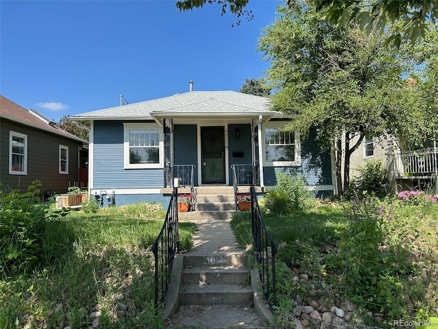 bungalow featuring covered porch and a shingled roof