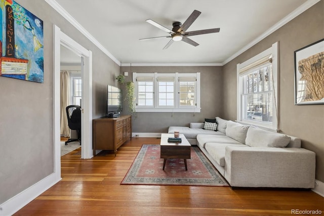 living room featuring crown molding, a wealth of natural light, ceiling fan, and light wood-type flooring