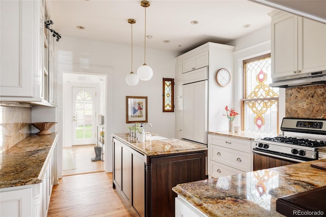 4224 N Clay St, Denver, CO 80211 - kitchen featuring gas range, under cabinet range hood, healthy amount of natural light, and light wood-style flooring
