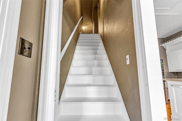 stairs featuring wood-type flooring and washer / clothes dryer