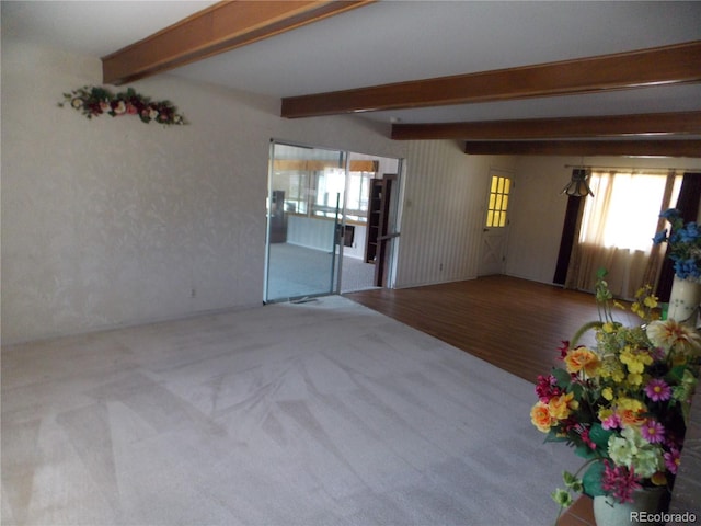 3241 Shalimar Ter, Pueblo, CO 81008 - photo 12