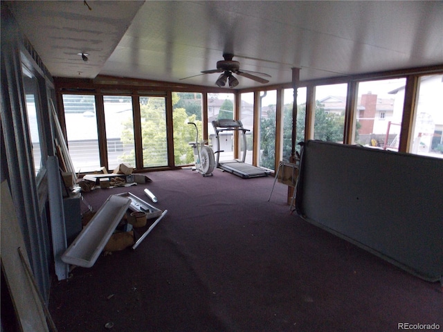 3241 Shalimar Ter, Pueblo, CO 81008 - photo 18
