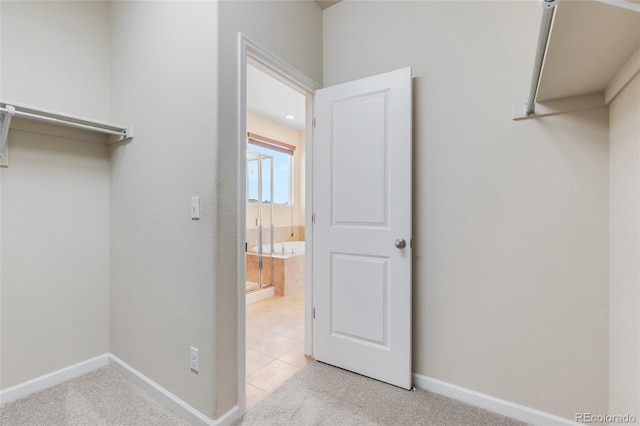 walk in closet with light colored carpet