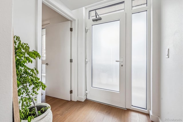 doorway with a healthy amount of sunlight and light wood-type flooring