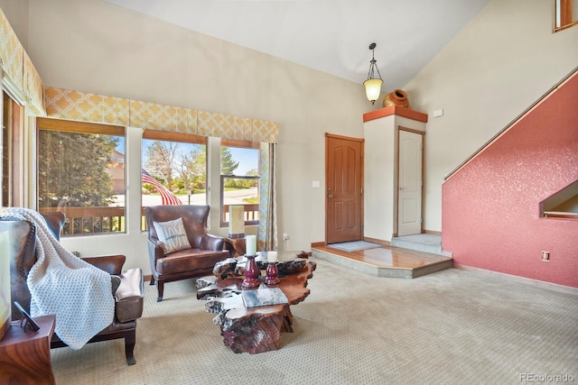 living room with carpet and a high ceiling