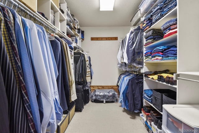 walk in closet featuring carpet flooring