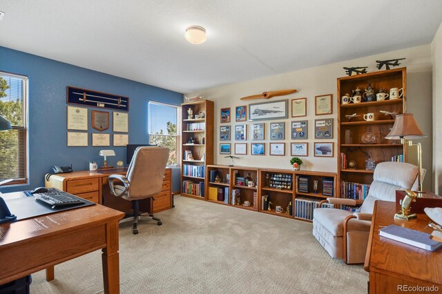 home office featuring light carpet and a wealth of natural light