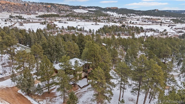 snowy aerial view with a mountain view