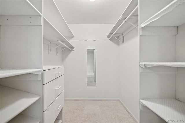 723 Eaton Rd, Palmer Lake, CO 80133 - view of spacious closet